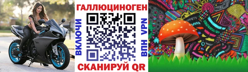 Галлюциногенные грибы мухоморы купить наркотики цена omg как войти Борзя